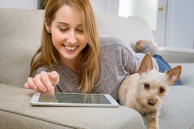 The Benefits of Hiring a Solo Pet Sitter